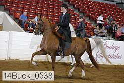 14buck_0538 proof
