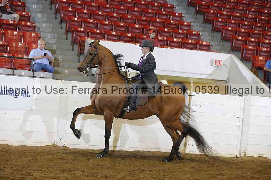 Proof 14buck_0539