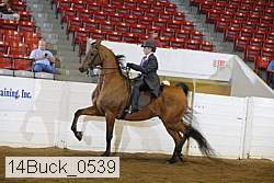 14buck_0539 proof