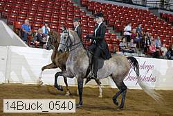 14buck_0540 proof