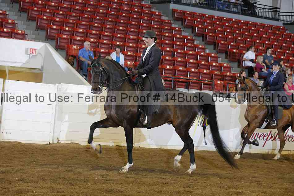 Proof 14buck_0541
