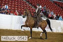 14buck_0542 proof