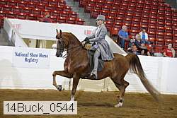 14buck_0544 proof