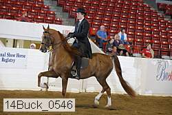 14buck_0546 proof