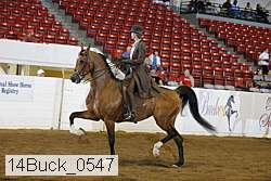 14buck_0547 proof