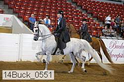 14buck_0551 proof