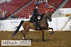 14buck_0552 proof