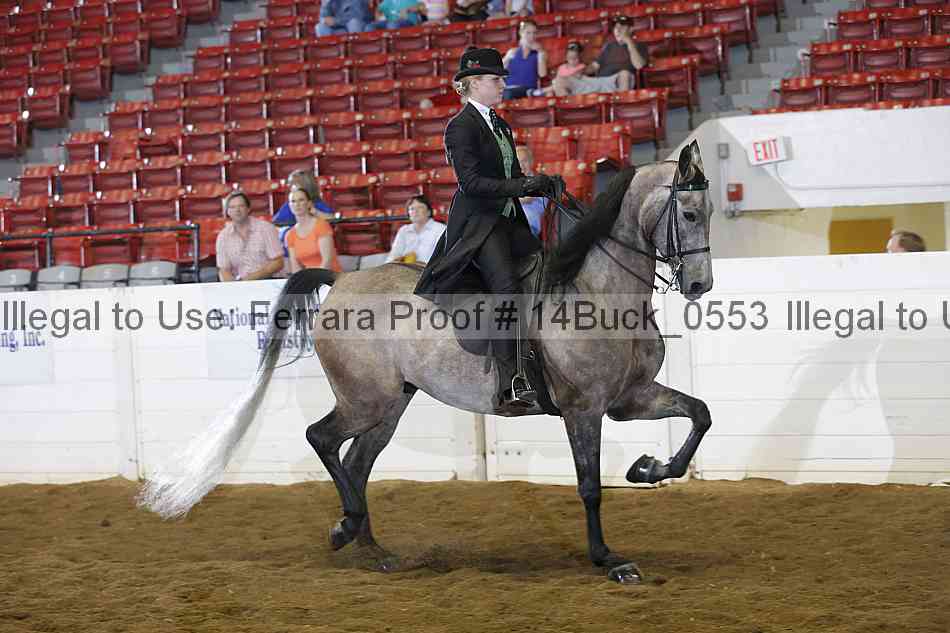Proof 14buck_0553