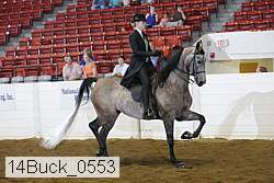 14buck_0553 proof