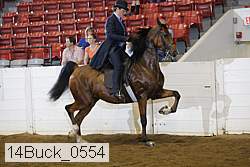 14buck_0554 proof