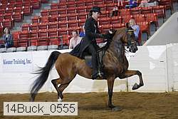 14buck_0555 proof