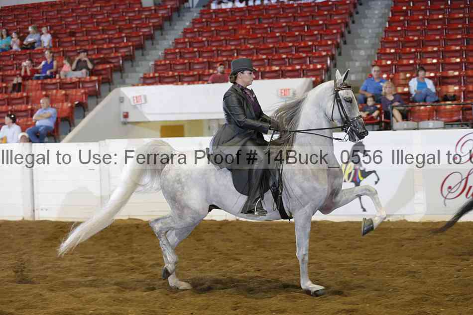 Proof 14buck_0556
