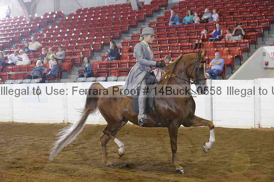Proof 14buck_0558