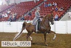 14buck_0558 proof