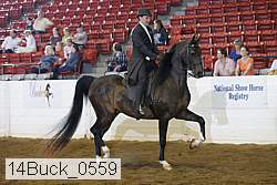 14buck_0559 proof