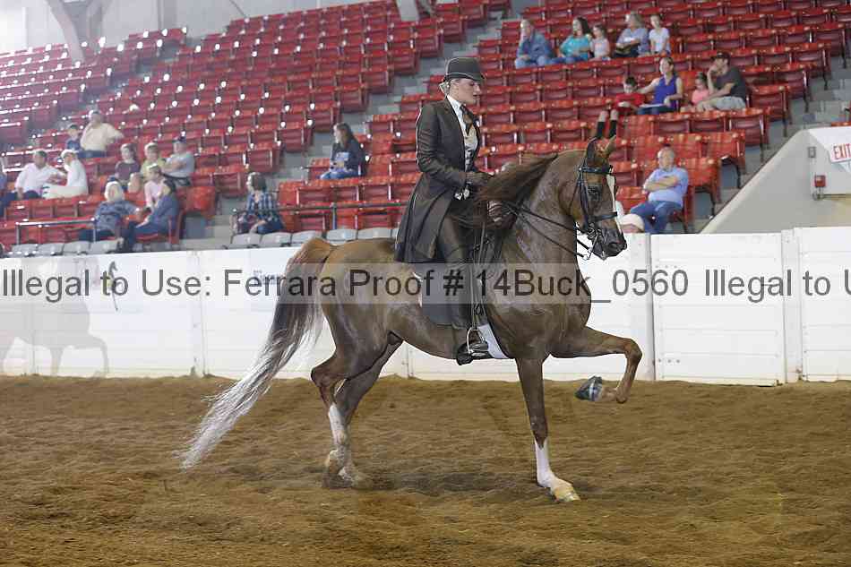 Proof 14buck_0560