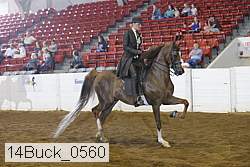 14buck_0560 proof