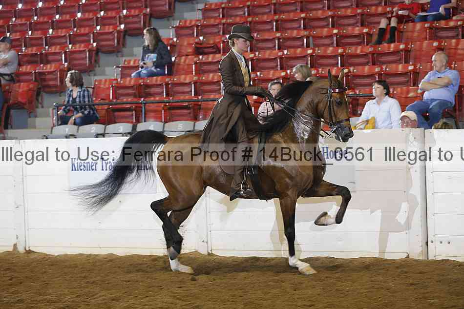 Proof 14buck_0561