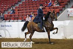 14buck_0562 proof