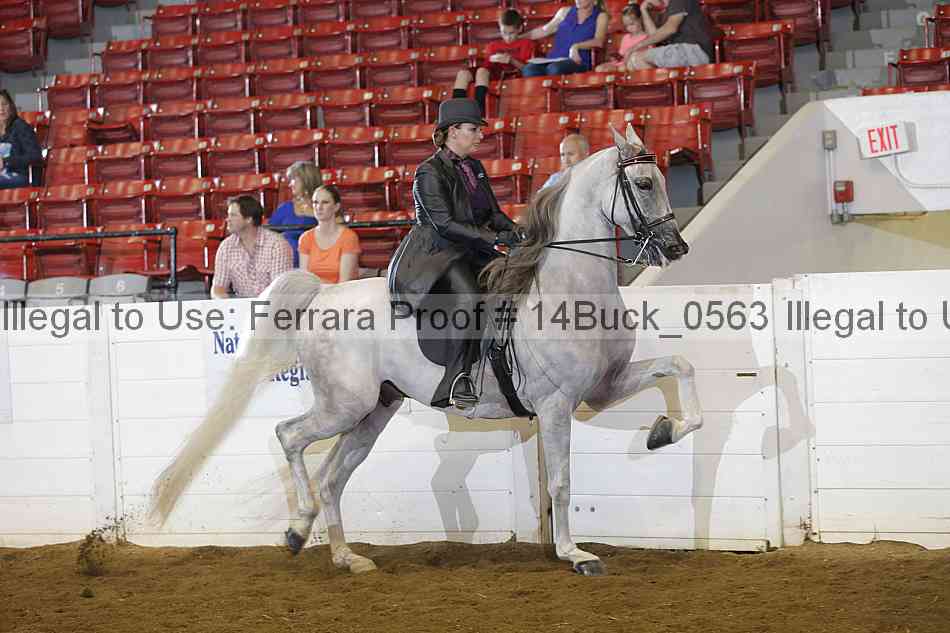 Proof 14buck_0563
