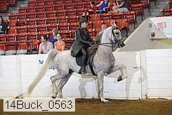 14buck_0563 proof