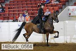 14buck_0564 proof