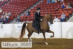 14buck_0565 proof