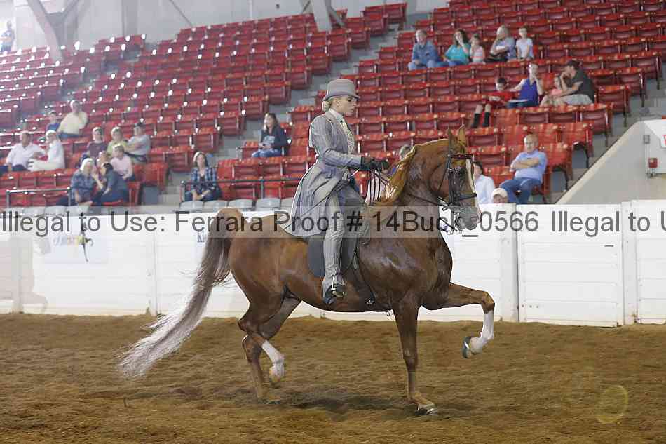 Proof 14buck_0566