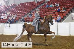 14buck_0566 proof