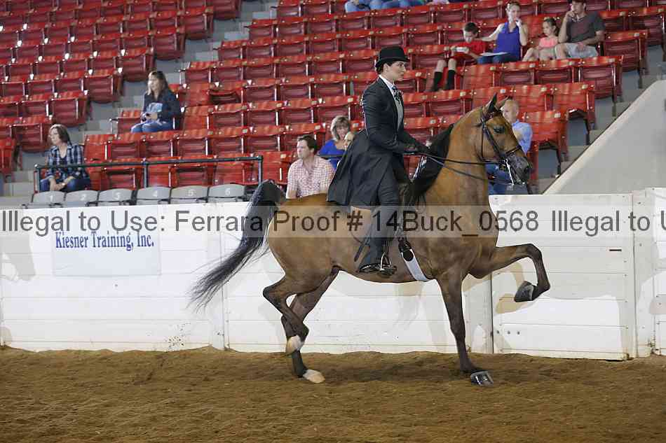 Proof 14buck_0568