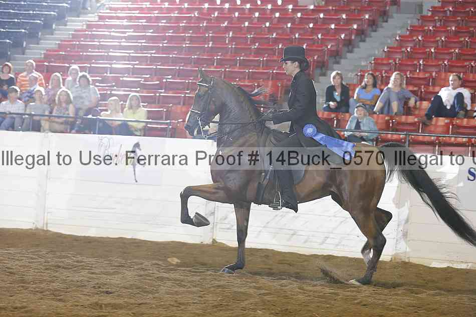 Proof 14buck_0570