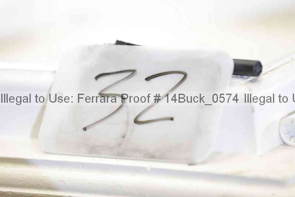 Proof 14buck_0574
