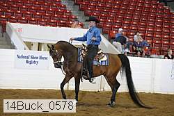 14buck_0578 proof