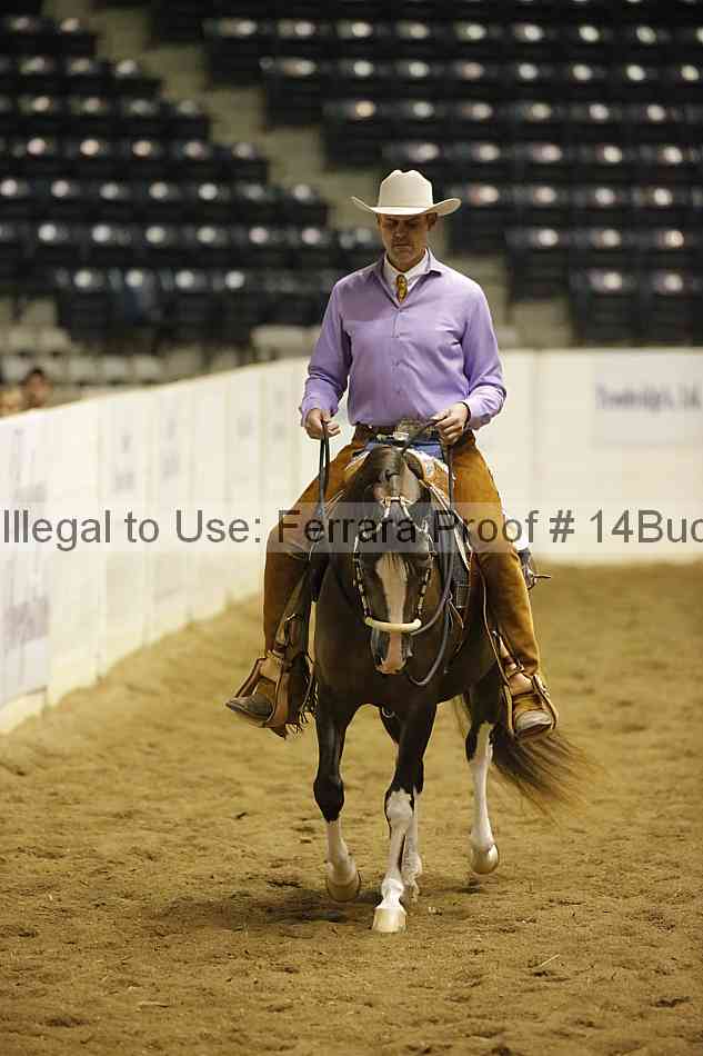 Proof 14buck_0582