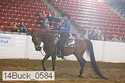 14buck_0584 proof
