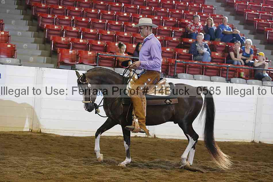 Proof 14buck_0585