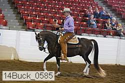 14buck_0585 proof