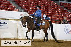 14buck_0588 proof