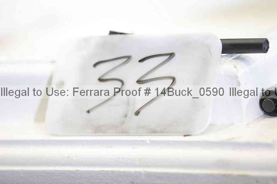 Proof 14buck_0590
