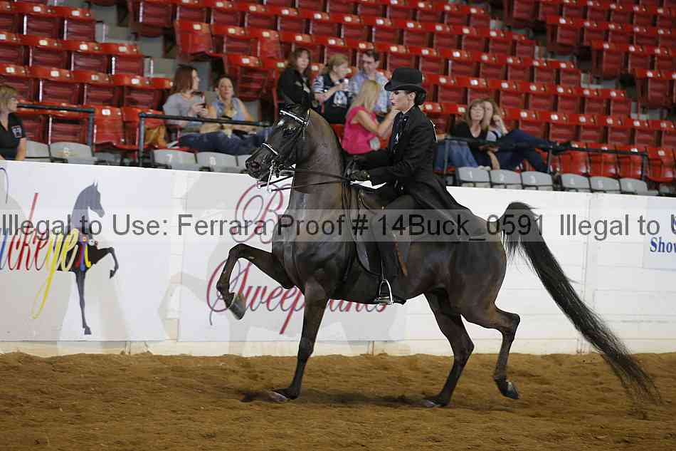 Proof 14buck_0591