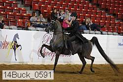 14buck_0591 proof
