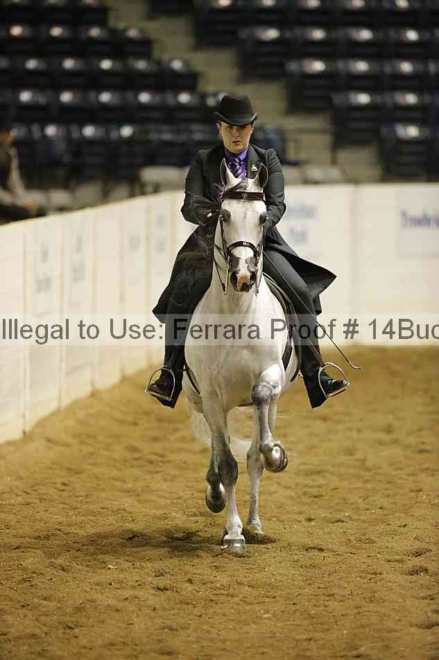 Proof 14buck_0596
