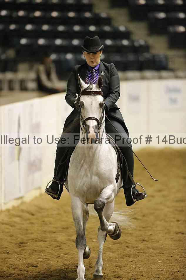 Proof 14buck_0597