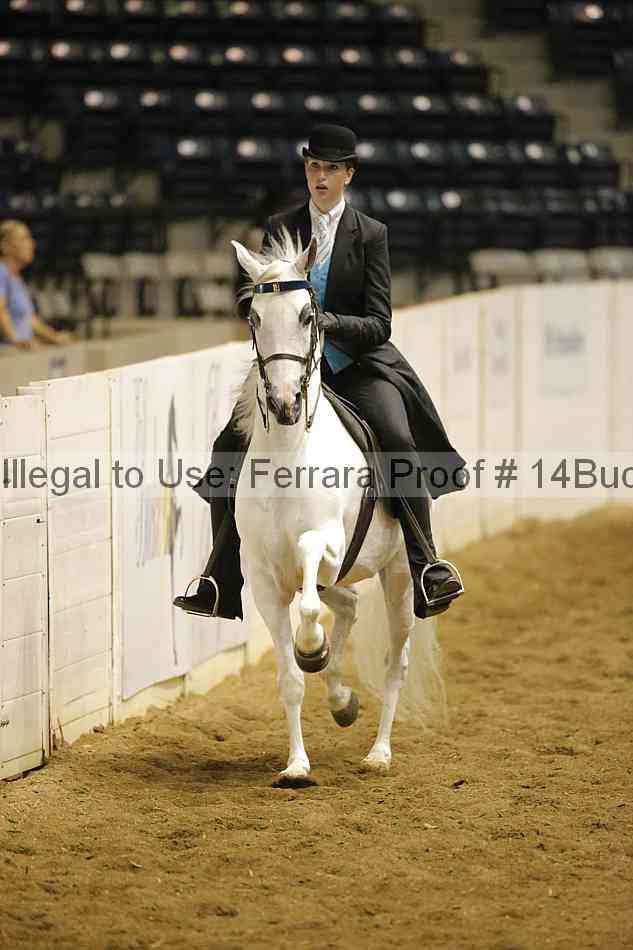 Proof 14buck_0599