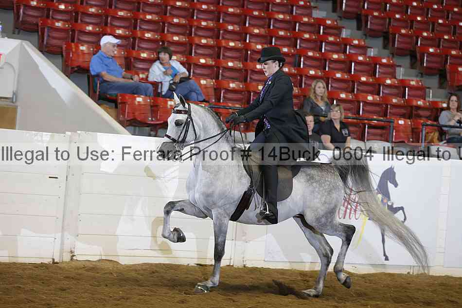 Proof 14buck_0604
