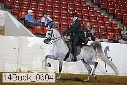14buck_0604 proof