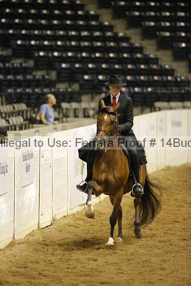 Proof 14buck_0605