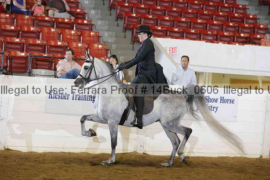 Proof 14buck_0606