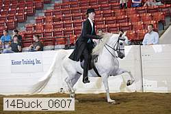 14buck_0607 proof