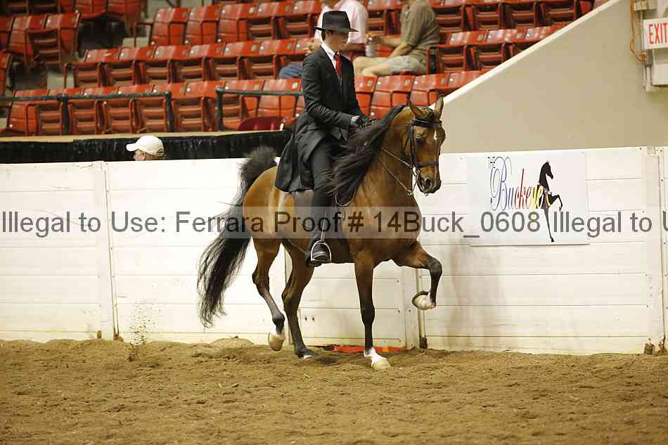 Proof 14buck_0608